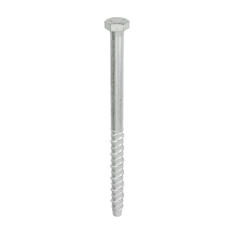 This is an image of Timco - Multi-Fix Masonry Bolts - Hex - Exterior - Silver 12.0 x 200mm - (25 PCS Box) MF12200