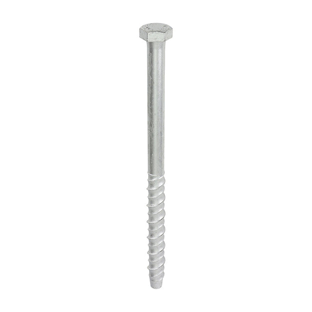 This is an image of Timco - Multi-Fix Masonry Bolts - Hex - Exterior - Silver 12.0 x 200mm - (25 PCS Box) MF12200