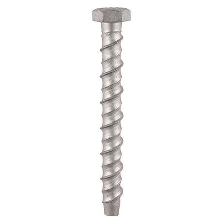 This is an image of Timco - Masonry Bolts - Hex - Exterior - Silver 8.0 x 100mm - (20 PCS TIMbag) MF8100B