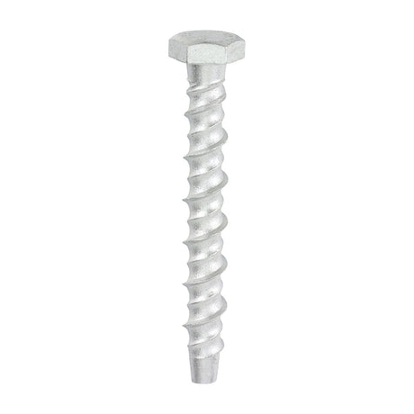 This is an image of Timco - Multi-Fix Masonry Bolts - Hex - Exterior - Silver 8.0 x 75mm - (100 PCS Box) MF875