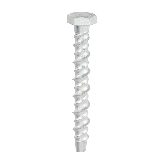 This is an image of Timco - Multi-Fix Masonry Bolts - Hex - Exterior - Silver 8.0 x 75mm - (100 PCS Box) MF875