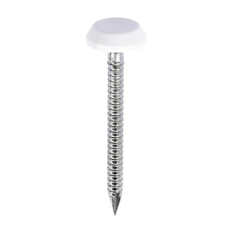 This is an image of Timco - Polymer Headed Nails - A4 Stainless Steel - White 40mm (100 PCS Box) PN40W