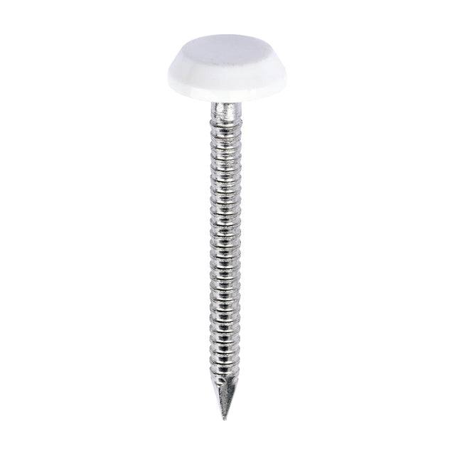 This is an image of Timco - Polymer Headed Nails - A4 Stainless Steel - White 40mm (100 PCS Box) PN40W