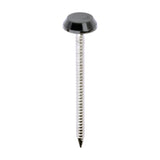 This is an image of Timco - Polymer Headed Nails - A4 Stainless Steel - Anthracite Grey 50mm (100 PCS Box) PN50AG