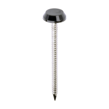 This is an image of Timco - Polymer Headed Nails - A4 Stainless Steel - Anthracite Grey 50mm (100 PCS Box) PN50AG