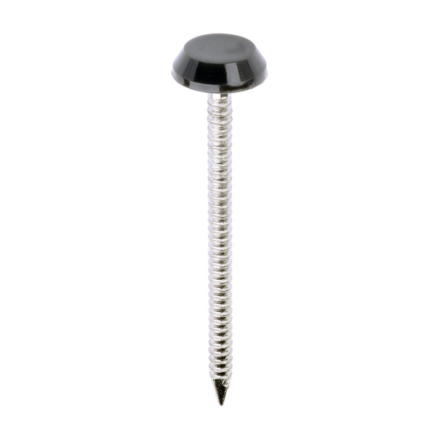 This is an image of Timco - Polymer Headed Nails - A4 Stainless Steel - Anthracite Grey 50mm (100 PCS Box) PN50AG