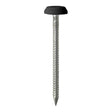This is an image of Timco - Polymer Headed Pins - Stainless Steel - Black 50mm (25 PCS TIMpac) PN50BLP