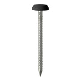 This is an image of Timco - Polymer Headed Pins - Stainless Steel - Black 50mm (25 PCS TIMpac) PN50BLP