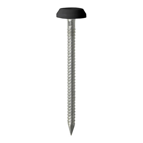 This is an image of Timco - Polymer Headed Pins - Stainless Steel - Black 50mm (25 PCS TIMpac) PN50BLP