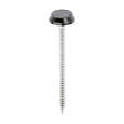 This is an image of Timco - Polymer Headed Nails - A4 Stainless Steel - Black 50mm (100 PCS Box) PN50BL
