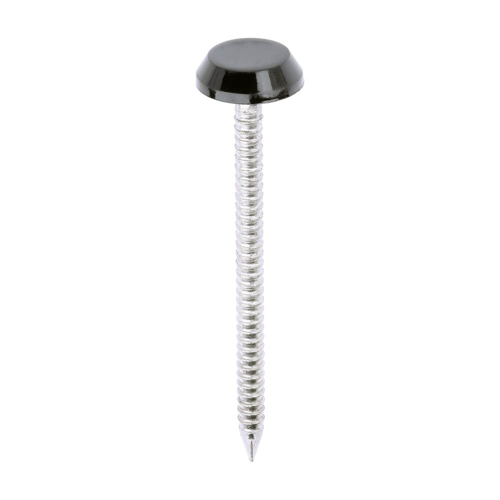 This is an image of Timco - Polymer Headed Nails - A4 Stainless Steel - Black 50mm (100 PCS Box) PN50BL