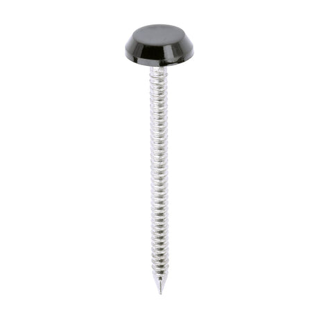 This is an image of Timco - Polymer Headed Nails - A4 Stainless Steel - Black 50mm (100 PCS Box) PN50BL