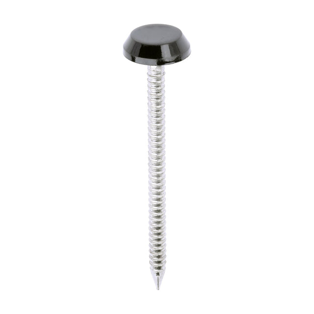 This is an image of Timco - Polymer Headed Nails - A4 Stainless Steel - Black 50mm (100 PCS Box) PN50BL