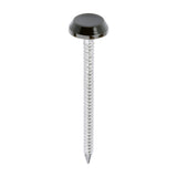 This is an image of Timco - Polymer Headed Nails - A4 Stainless Steel - Mahogany 50mm (100 PCS Box) PN50BR