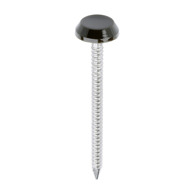 This is an image of Timco - Polymer Headed Nails - A4 Stainless Steel - Mahogany 50mm (100 PCS Box) PN50BR