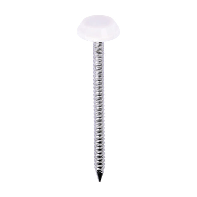 This is an image of Timco - Polymer Headed Nails - A4 Stainless Steel - Cream 50mm (100 PCS Box) PN50CC