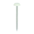 This is an image of Timco - Polymer Headed Nails - A4 Stainless Steel - Chartwell Green 50mm (100 PCS Box) PN50CG