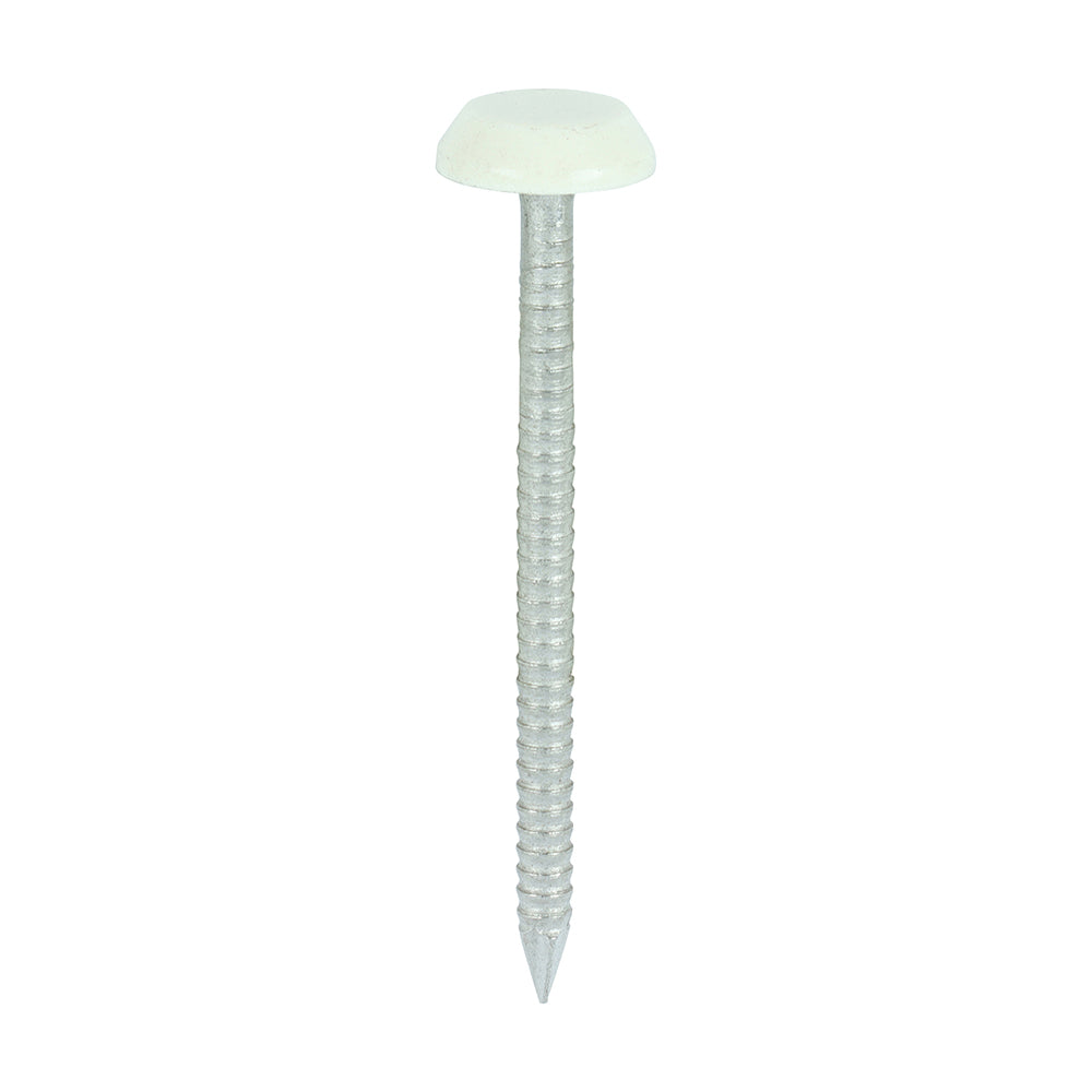 This is an image of Timco - Polymer Headed Nails - A4 Stainless Steel - Chartwell Green 50mm (100 PCS Box) PN50CG