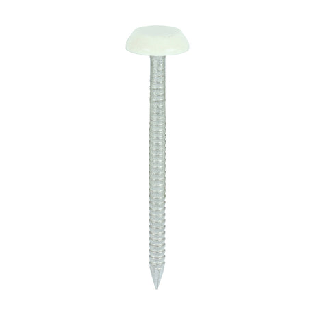 This is an image of Timco - Polymer Headed Nails - A4 Stainless Steel - Chartwell Green 50mm (100 PCS Box) PN50CG