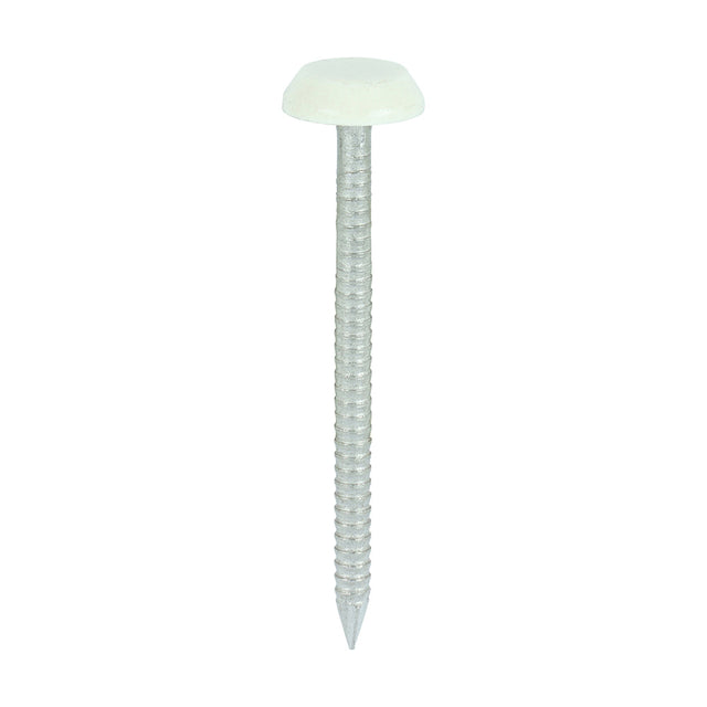 This is an image of Timco - Polymer Headed Nails - A4 Stainless Steel - Chartwell Green 50mm (100 PCS Box) PN50CG