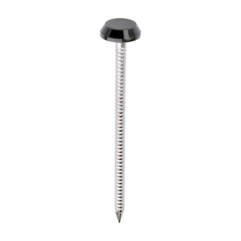 This is an image of Timco - Polymer Headed Nails - A4 Stainless Steel - Anthracite Grey 65mm (100 PCS Box) PN65AG