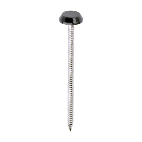 This is an image of Timco - Polymer Headed Nails - A4 Stainless Steel - Anthracite Grey 65mm (100 PCS Box) PN65AG