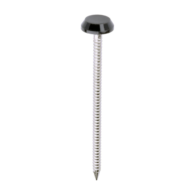 This is an image of Timco - Polymer Headed Nails - A4 Stainless Steel - Anthracite Grey 65mm (100 PCS Box) PN65AG