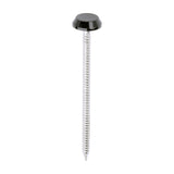 This is an image of Timco - Polymer Headed Nails - A4 Stainless Steel - Black 65mm (100 PCS Box) PN65BL