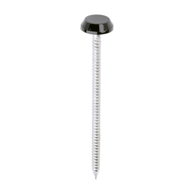 This is an image of Timco - Polymer Headed Nails - A4 Stainless Steel - Black 65mm (100 PCS Box) PN65BL