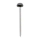 This is an image of Timco - Polymer Headed Nails - A4 Stainless Steel - Mahogany 65mm (100 PCS Box) PN65BR