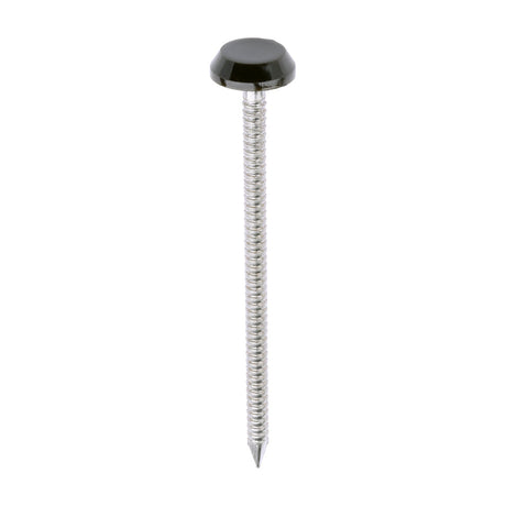 This is an image of Timco - Polymer Headed Nails - A4 Stainless Steel - Mahogany 65mm (100 PCS Box) PN65BR