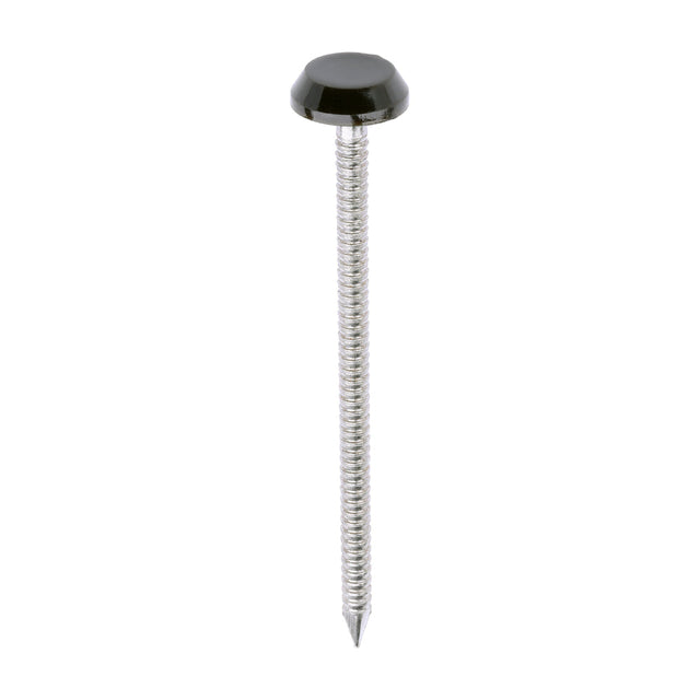 This is an image of Timco - Polymer Headed Nails - A4 Stainless Steel - Mahogany 65mm (100 PCS Box) PN65BR