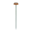 This is an image of Timco - Polymer Headed Nails - A4 Stainless Steel - Clay Brown 65mm (100 PCS Box) PN65CB