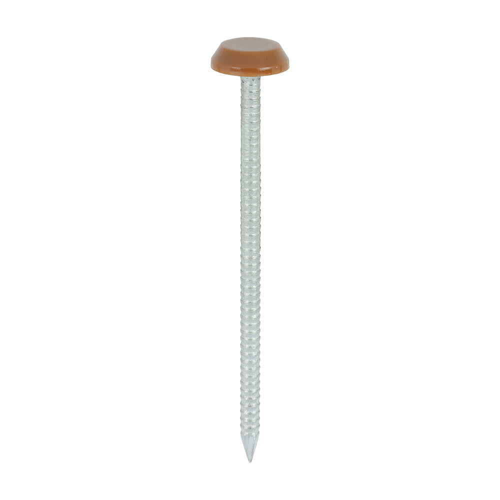 This is an image of Timco - Polymer Headed Nails - A4 Stainless Steel - Clay Brown 65mm (100 PCS Box) PN65CB