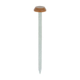 This is an image of Timco - Polymer Headed Nails - A4 Stainless Steel - Clay Brown 65mm (100 PCS Box) PN65CB