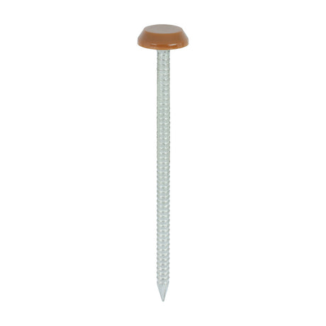 This is an image of Timco - Polymer Headed Nails - A4 Stainless Steel - Clay Brown 65mm (100 PCS Box) PN65CB
