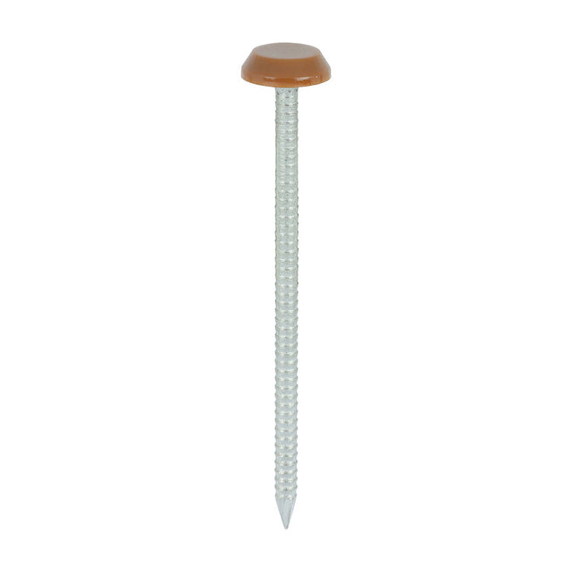 This is an image of Timco - Polymer Headed Nails - A4 Stainless Steel - Clay Brown 65mm (100 PCS Box) PN65CB