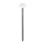 This is an image of Timco - Polymer Headed Nails - A4 Stainless Steel - Cream 65mm (100 PCS Box) PN65CC