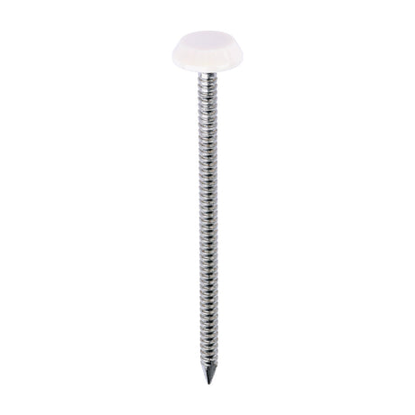 This is an image of Timco - Polymer Headed Nails - A4 Stainless Steel - Cream 65mm (100 PCS Box) PN65CC