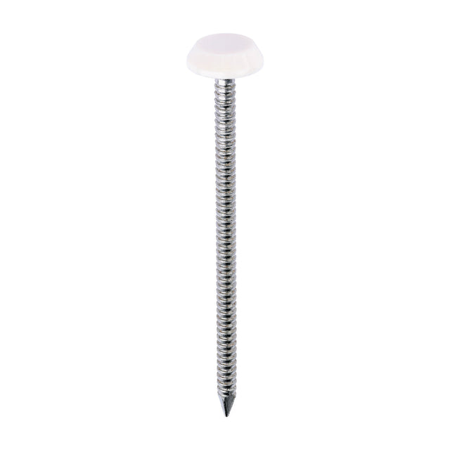 This is an image of Timco - Polymer Headed Nails - A4 Stainless Steel - Cream 65mm (100 PCS Box) PN65CC