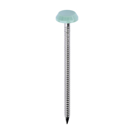 This is an image of Timco - Polymer Headed Nails - A4 Stainless Steel - Chartwell Green 65mm (100 PCS Box) PN65CG