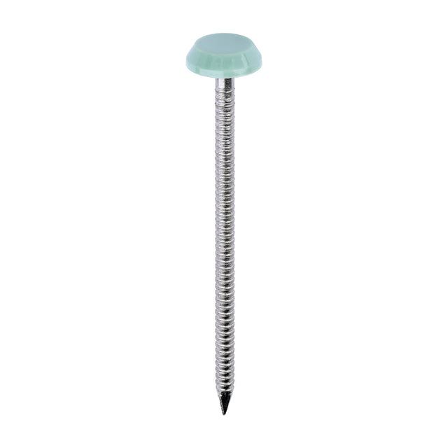 This is an image of Timco - Polymer Headed Nails - A4 Stainless Steel - Chartwell Green 65mm (100 PCS Box) PN65CG