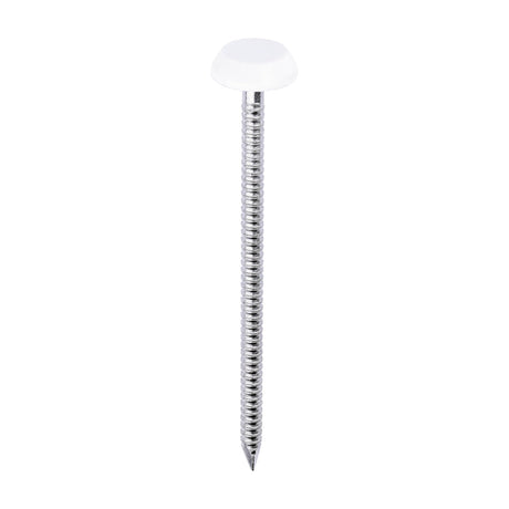 This is an image of Timco - Polymer Headed Nails - A4 Stainless Steel - White 65mm (100 PCS Box) PN65W