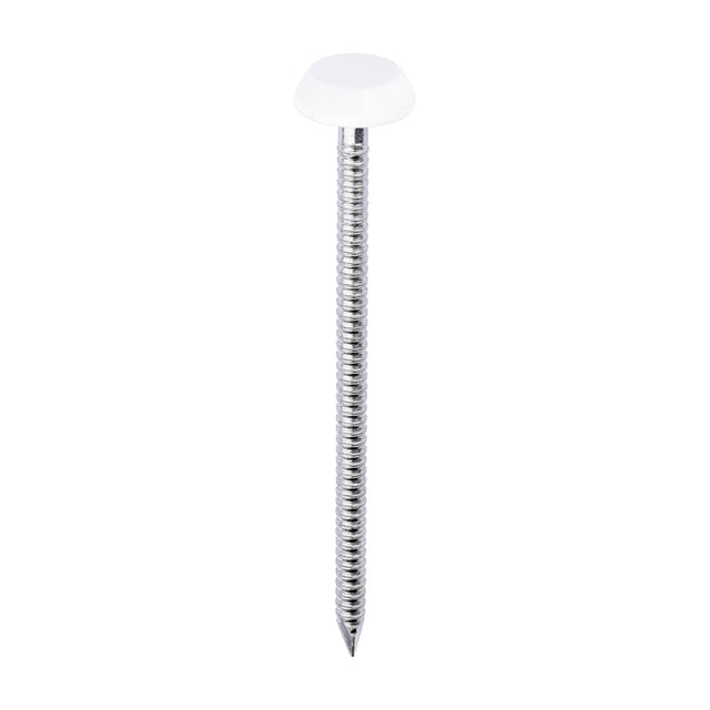 This is an image of Timco - Polymer Headed Nails - A4 Stainless Steel - White 65mm (100 PCS Box) PN65W
