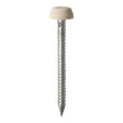 This is an image of Timco - Polymer Headed Pins - A4 Stainless Steel - Beige 25mm (250 PCS Box) PP25BEIGE