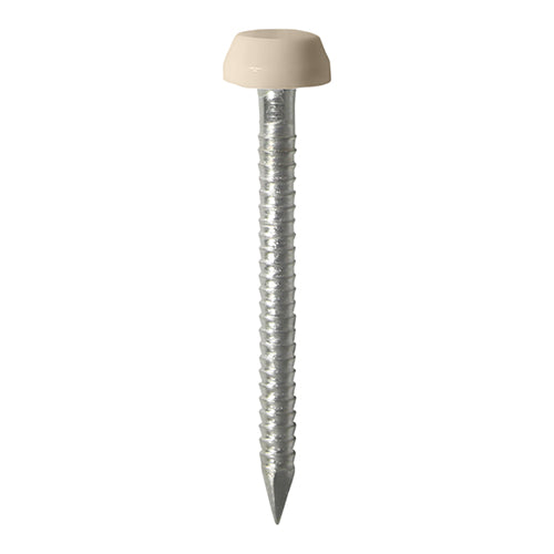 This is an image of Timco - Polymer Headed Pins - A4 Stainless Steel - Beige 25mm (250 PCS Box) PP25BEIGE