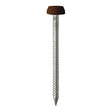 This is an image of Timco - Polymer Headed Pins - A4 Stainless Steel - Mahogany 25mm (250 PCS Box) PP25M