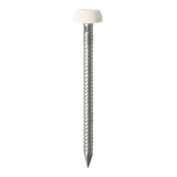 This is an image of Timco - Polymer Headed Pins - Stainless Steel - White 25mm (65 PCS TIMpac) PP25WP