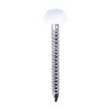 This is an image of Timco - Polymer Headed Pins - A4 Stainless Steel - White 25mm (250 PCS Box) PP25W