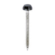 This is an image of Timco - Polymer Headed Pins - A4 Stainless Steel - Anthracite Grey 30mm (250 PCS Box) PP30AG